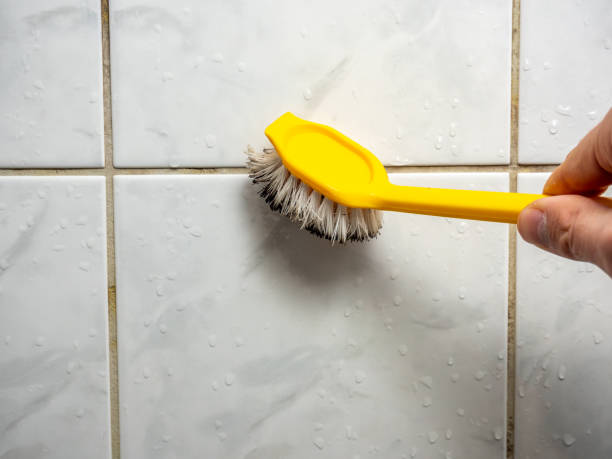 Reliable Clinton, OH Mold Removal Solutions
