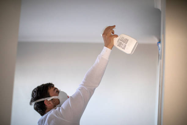 Crawl Space Mold Removal in Clinton, OH