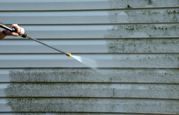 Best Office Mold Removal Services  in Clinton, OH