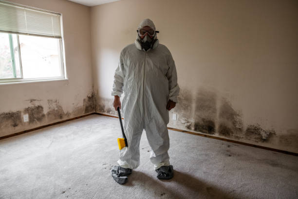 Best Certified Mold Removal  in Clinton, OH